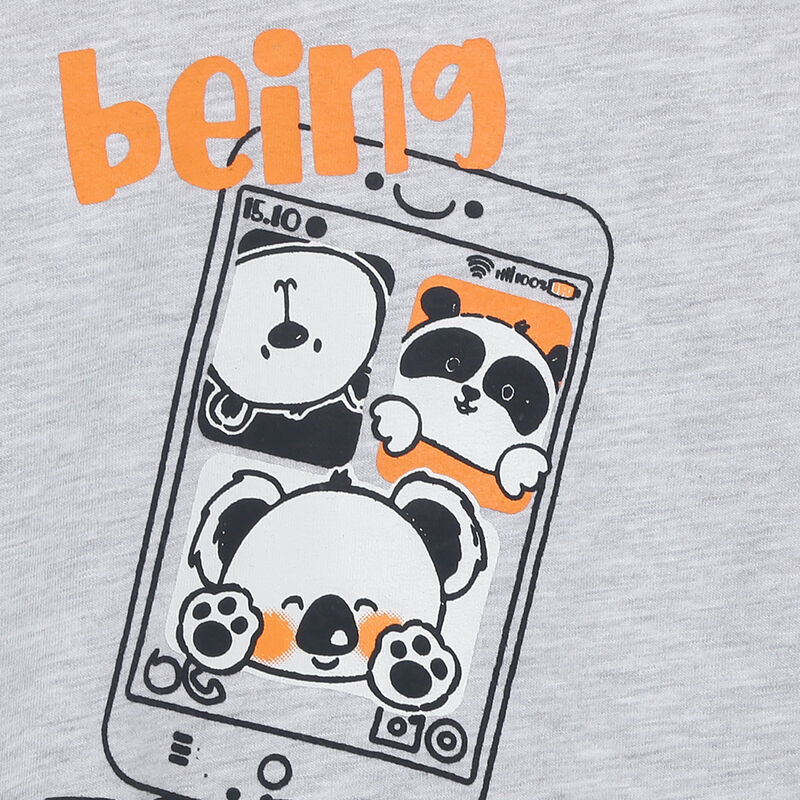 Boys Light Grey Printed Short Sleeve T-shirt image number 2